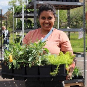 Garden in a Box