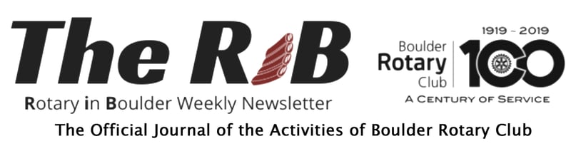 RiB banner- with journal of activities tag