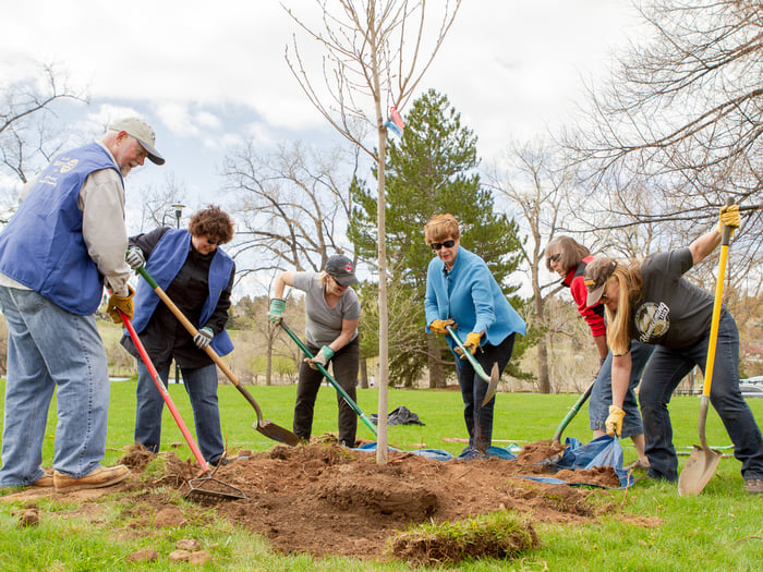 Tree planting-2